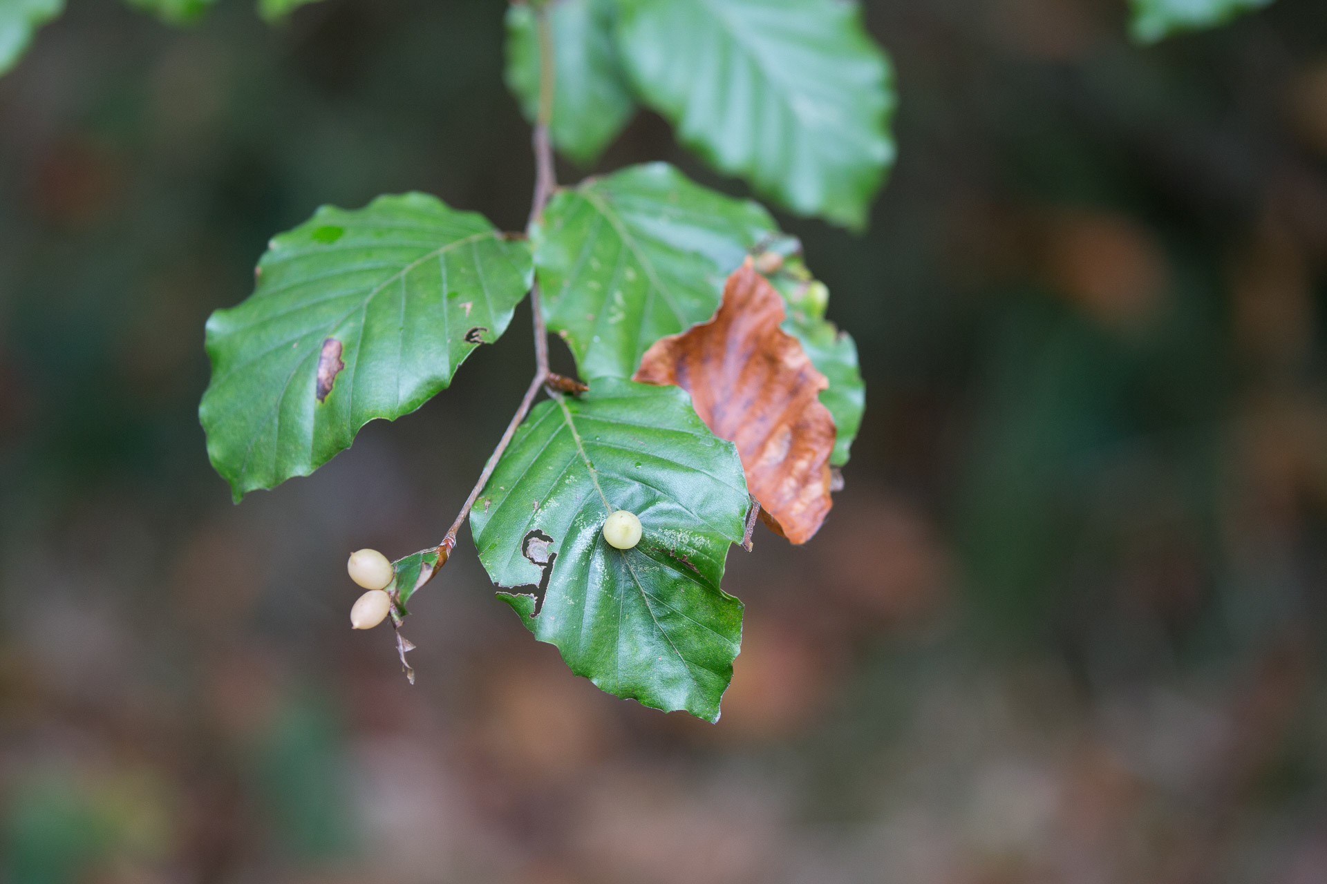 20231014100726 3K6A2159